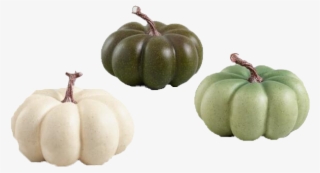 Medium Ivory And Green Faux Heiloom Pumpkins Set Of