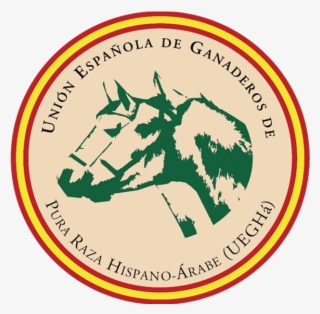 Caballo Hispano Árabe - All Saints High School Logo