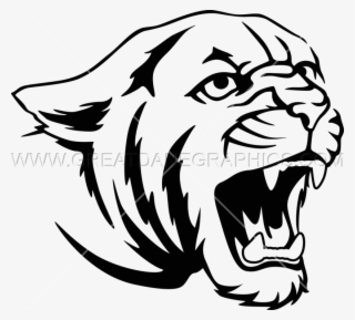 Cougar Png - Drawing Of Cougar