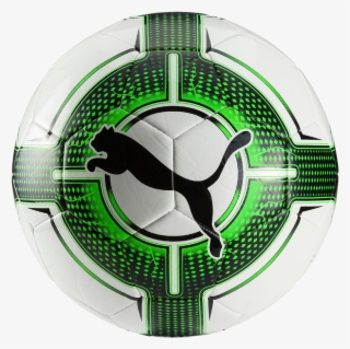 Pelota Puma Evopower