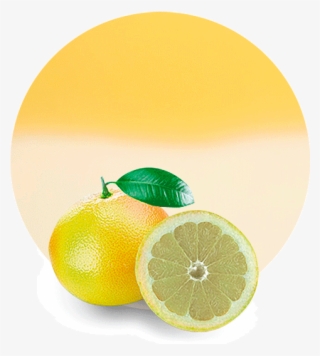 Com/wp Grapefruit Juice Concentrate 1 - Rangpur