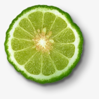 Bergamot - Bergamot Png