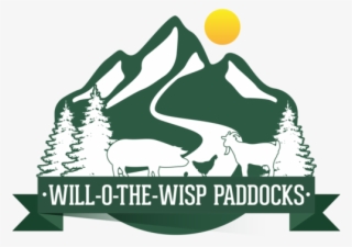 Wisp Png