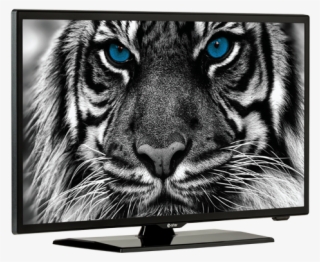Estar Led Tv - E Star Tv