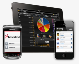 Mobile Enterprise Software - Blackberry 9800 Torch