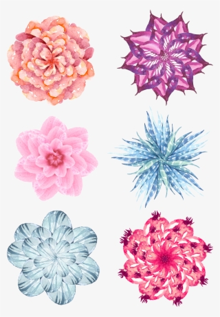 Watercolor Flower Vector, Watercolor Fashion, Hd Picture, - Chrysanths