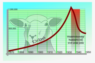 Navajo Livestock Reduction