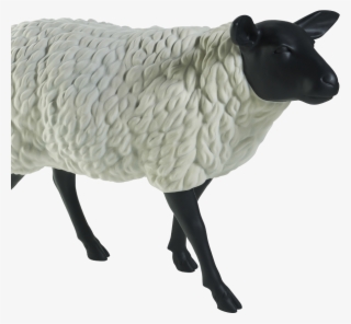 The Sheep - Sheep