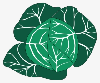 Vegetables 24 Free Vector - Cabbage Png Clipart