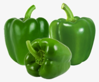 Green Capsicum - Capsicum Green