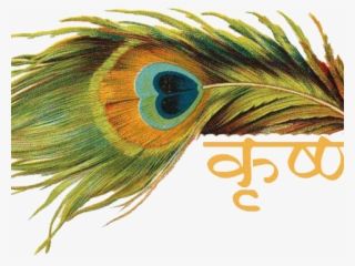 Fluted Clipart Hare Krishna - Peacock Feathers With Names