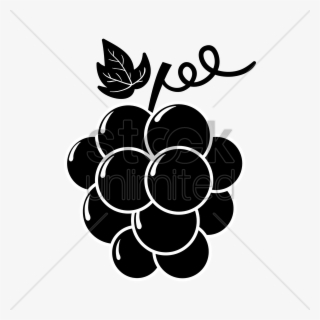 Silhouette Of Grapes Vector - Illustration