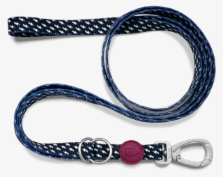 Multifunction Dog Leash - Chain