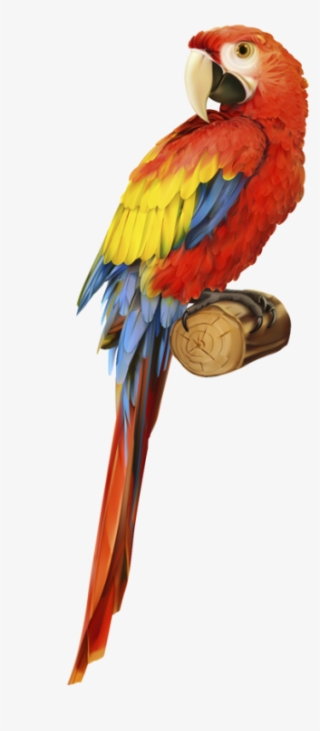 The Complete Guide To A Safari Journey In Kenya - Parrot Illustration