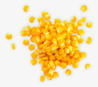 Sweet Corn - Granos De Cereales Ejemplos