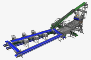 Sweet Corn - Assembly Line