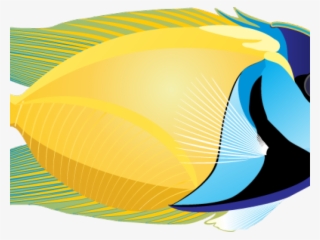 Marine Fish Clipart Real Fish - Fish On White Background