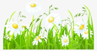 Free Png Download White Flowers And Grass Transparent - Clipart Of Grass And Flowers