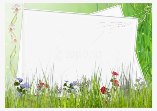 Free Png Green And White Transparent Frame With Field - Green Flower Borders And Frames