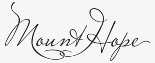 Designer Events - Calligraphy