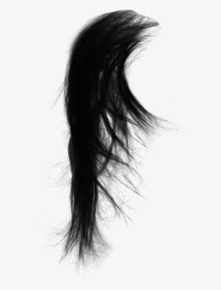 Clip Art Freeuse Stock Capelli Black Real Transprent - Sk Editing Zone Png Hair