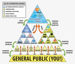 13 Alarming Scientific Studies About Vaccine Safety - Vaccine Safety