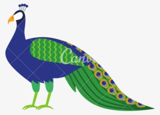 Isolated Icons By Canva - Peafowl