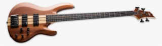 But Never Thought You Could Afford Is Right Here - Bass Guitar