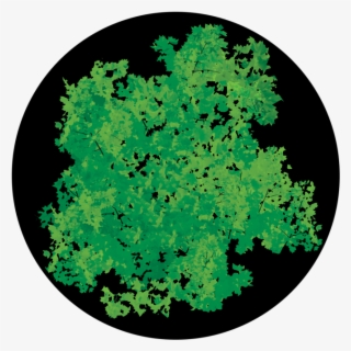 Impressionist Foliage - Circle