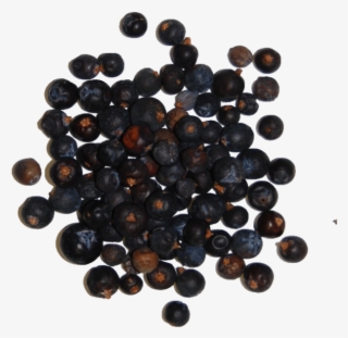 Juniper Berries - Juniper Berry