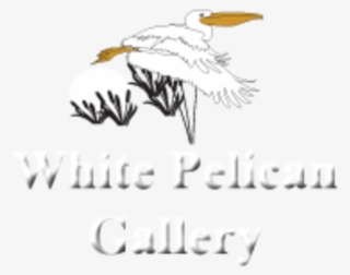 White Pelican Gallery Logo - Seabird