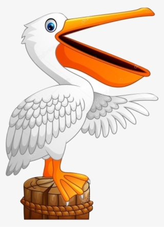Cartoon Pelican