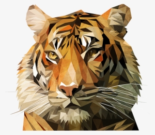 Vector I Am On Behance Then Mirrored And - Bengal Tiger