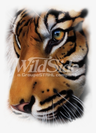 Tiger - Graphic Oversize - Shirt