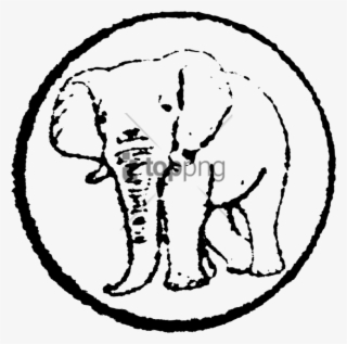 Free Png Download Realistic Cartoon Elephant Png Images - Cartoon Elephant Transparent Background