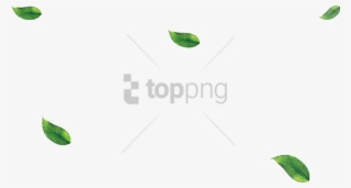 Free Png Leaf Png Image With Transparent Background - Illustration