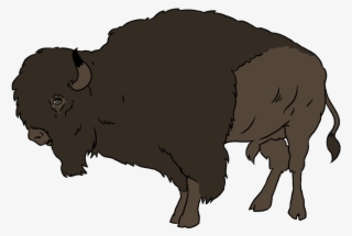 Buffalo, Bright Images - Buffalo Animated Png