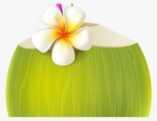 Transparent Pina Colada Clip Art