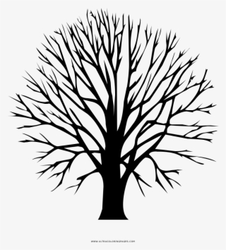 Bare Tree Coloring Page - Tree Logo Gold
