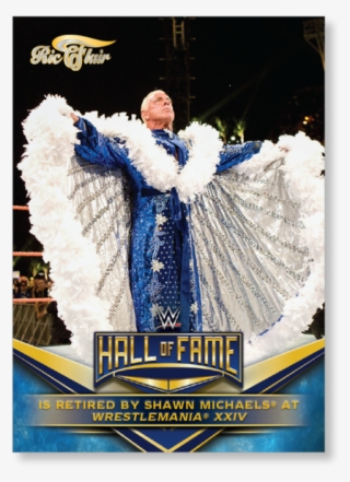 Gallery - Ric Flair Blue Robe