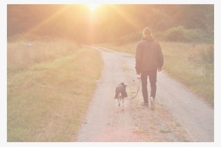 Your Pets Will Thank You - Dog Walking