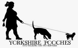 Dog Catches Something