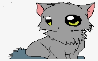 Cute Cat