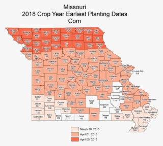 Mo Corn Earliest - Diagram