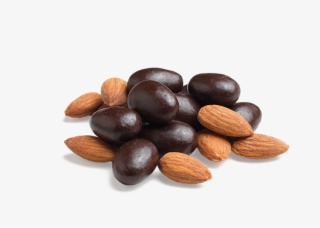 Salted Almond Pips - Almond