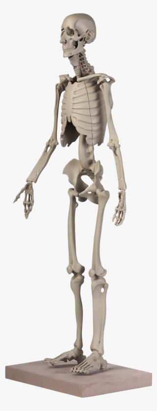 Maniken® Classic - Figurine