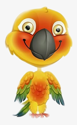 #momio #tiki #mallipaire - Tiki Momio