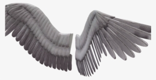 Dark Angel Clipart Real - Angel Wings No Background