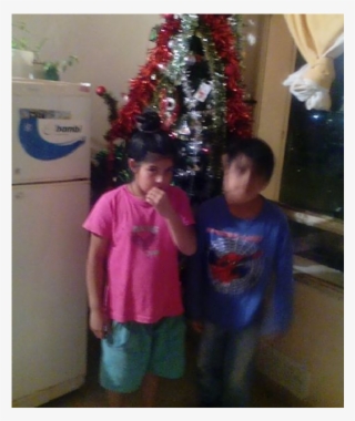 Un Nene Pidió Un Árbol De Navidad Por Facebook - Christmas Ornament