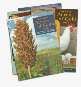 Stack Of Publications - Turkey